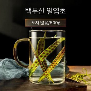 백두산 말린 일엽초 500g 무첨가 와위 골비초 한방재료, 1개