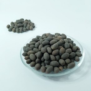 백장생 국내산 연자육 연꽃씨앗 연밥 통씨 300g, 1개, 1개