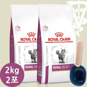 [로얄캐닌] 캣 레날 셀렉트(+스쿱) 2kg*2개