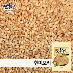 맛봉달 2024년 현미보리 보리현미 봄보리 쌀보리 국내산, 1개, 20kg 마대포장