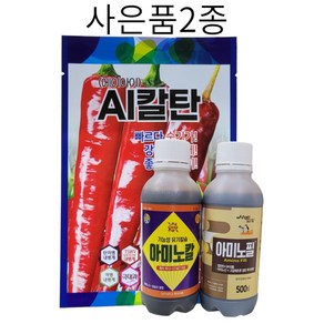 AI칼탄 고추종자 고추씨 고추품종 조생종 칼라병 탄저병 복합내병계 1200립, 1개