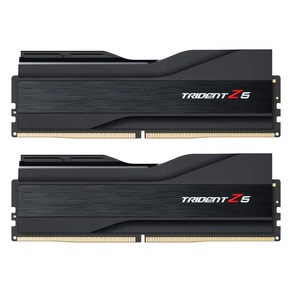 G.SKILL DDR5 6000 CL30 TRIDENT Z5 J 블랙 패키지 32GB(16Gx2), 2개