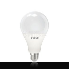 포커스 LED 전구 벌브 20W KS인증, 주광색, 1개