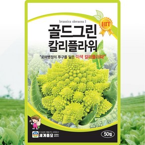 세계종묘 골드그린칼리플라워 씨앗 50립 이색 칼리플라워 씨 종자, 1개