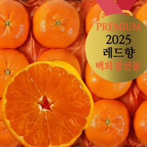 [프리미엄 올해의 레드향] 꿀당도 제주산지직송 레드향 선물용 가정용 3kg 5kg 백화점선물, 1개, 선물용 특대용 5키로