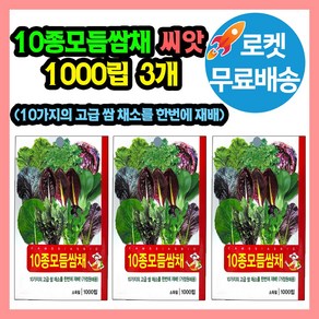 10종모듬쌈채 씨앗 (합 3000립) 적겨자 청겨자 적경치커리 청치커리 청경채 오크린상추 레드치커리 e쌈추 트레비쇼 홍쌈추 구성, 3개