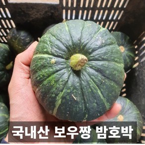 나만의건강by설리마켓 포슬포슬 국내산 미니밤호박 보우짱, 1개, 3kg(국산)