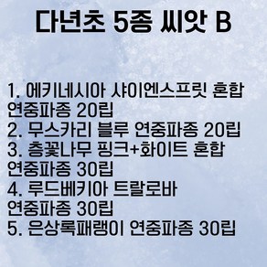 다년초 5종 씨앗 B 연중파종 꽃심야생화