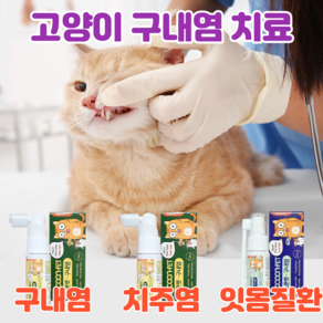 고양이 구내염약 구내염 치주염 치은염 잇몸염증 바르는 젤 구강 영양제, 기본형 스프레이, 1개