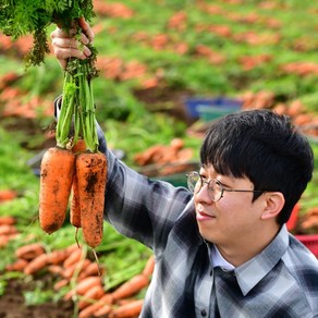 제주 구좌당근 무농약 유기농 흙당근 쥬스용 미니당근 3kg 5kg 10kg