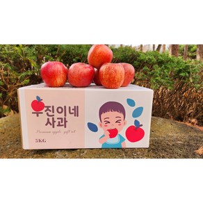 우진이네 사과 경북 청송 가정용 꿀사과 못난이사과 ( 소과 혼합), 1박스, 5KG(혼합)