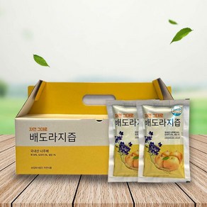 무안 배도라지즙 100ml x 90팩, 없음, 3L, 90개