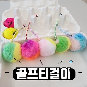 골프 티 분실방지 레인보우 털방울 티걸이 5개 세트 티홀더, 6cm, 랜덤