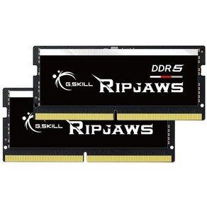 G.SKILL Ripjaws DDR5 SO-DIMM 시리즈 DDR5 RAM 32GB (2x16GB) 4800MT/s CL40-39-39-76 1.10V 언버퍼드 Non-ECC 노트, 32GB (2 x 16GB), 2개, 2.64GB (2 x 32GB)