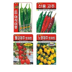 고추 씨앗 2종 + 방울토마토 씨앗 2종 세트, 2세트