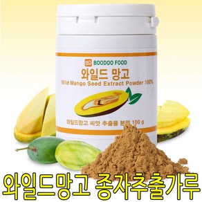 와일드망고 종자추출분말 100g+190dy, 100g, 1개