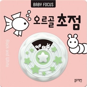 BABY FOCUS 오르골 초점, 블루래빗