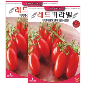 세인화분 레드 대추토마토씨앗 20립 방울토마토 키우기 대추방울토마토 씨앗, 2개