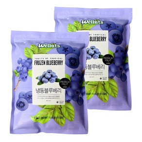 웰루츠 A등급 냉동 블루베리 1kg + 1kg