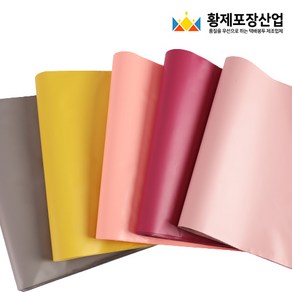 HDPE 고급 컬러 택배봉투 (접착형), 100장, 살구색