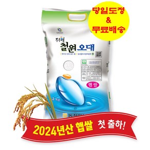 동철원농협 철원오대쌀 4KG ['24년햅쌀' / '당일도정' & '무료배송']