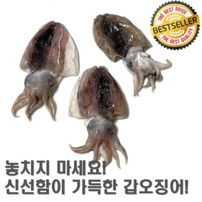 격이 다른 맛! 갑오징어를 경험해보세요! [ 국내산 손질 갑오징어 ], 1개, 미니(꼬마) 손질 500g (10미 내외)