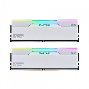 ESSENCORE KLEVV DDR5-7200 CL34 CRAS V RGB White 패키지 서린 (32GB(16Gx2)), 2개