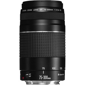 Canon 캐논 EF 75-300mm f/4-5.6 III Telephoto Zoom 렌즈 fo SLR 카메라, Base, EF75-300