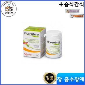 플로렌테로 액트 태블릿 30정 + 동물병원 전용 습식간식 / Floenteo Act Tablet / 급성 장 흡수 장애 / 장 염증 감소, 장건강/유산균, 1개, 고양이