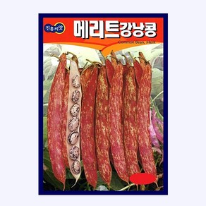 강낭콩 씨앗 600g 대용량 대포장 종자 얼룩이 키작은 수량성 높은 비덩쿨성, 1개