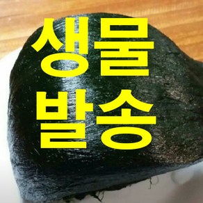 강진 찰매생이 소포장 개당100g 기본포장개당 3500g 3재기 5재기 10재기, 350g(5재기), 1개