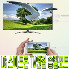 슬림포트 LG V10G4G3G2Gpo2 TV연결 MHL케이블, 5핀11핀 MHL, 1개