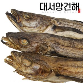 먹태 8통(43~45cm) 7통(45~47cm), 6개, 대(43~45cm)내외