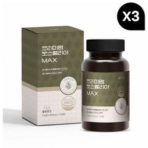 웰빙곳간 프리미엄 보스웰리아 MAX 1000mg 120정, 3개