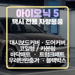 택시 아이오닉5 차량용품 모음 / HYUNDAI IONIQ5, 펠트형 도어커버(그레이), 현대