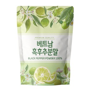 닥터릴리 후추 가루 흑후추 분말 500g, 1개