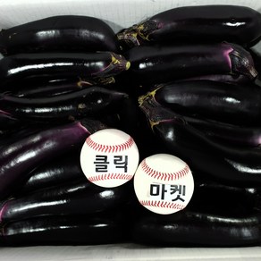 클릭마켓 국내산 가지 10kg, 1개