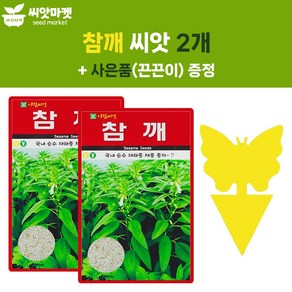 아람 참깨 씨앗 1000립 국산 재래종 참깨씨 종자 2개+끈끈이 1P, 1개