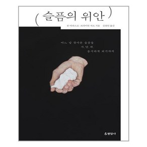 슬픔의 위안:, 현암사, 론 마라스코,브라이언 셔프 공저/김설인 역