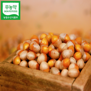 [100% 국내산] 무농약 깐은행 피은행 은행, 깐은행 중 500g, 1개