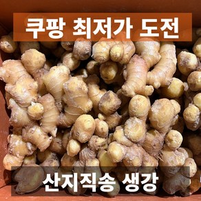 나만의건강by설리마켓 국내산 프리미엄 특품 생강, 1박스, 1kg(특품)