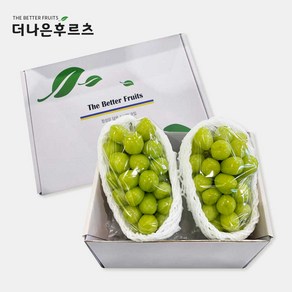 특품 고당도 국산과일 샤인머스캣 2입 1.4kg 기프트세트, 1개