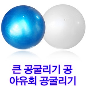 짐볼형 공굴리기공 단체게임 야유회 유치원놀이 큰공굴리기 레크레이션게임