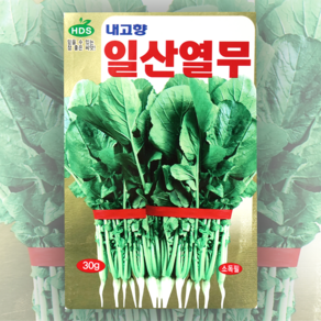 열무씨앗 일산열무30g 대농종묘, 1개