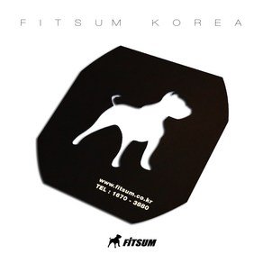 FITSUM 핏섬 배드민턴라켓 스텐실 판 카드 (FT-STS), 1개