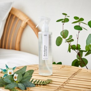 [모던하우스 광주역점]마이홈센트 아로마탈취제 유칼립투스 300ml_AR0523024, 1개, 300ml