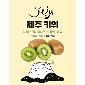 농장 직송 제주 그린키위 당도 제주 키위 참다래. 가정용 특대과 혼합과, 1kg(특대과), 1개