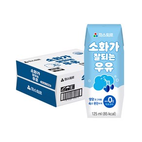 파스퇴르 소화가 잘되는 우유, 파스퇴르 소화가 잘되는 우유 125ml, 24개, 125ml, 24개