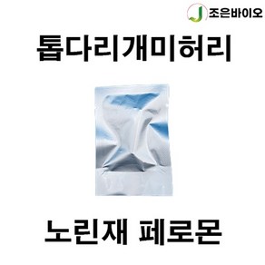 톱다리개미허리 노린재 페로몬 유인제, 5개입, 1개