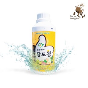 스테비아 당도왕 500ml 주말농장 텃밭비료 특허기술 당도 경도 향상, 1개